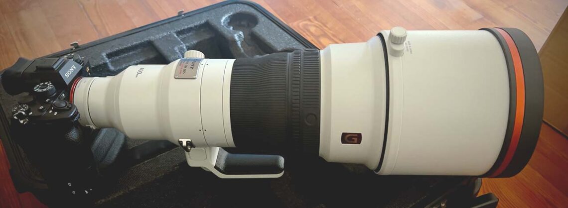 Sony 400mm f2.8 E-Mount für Wildlifefotografie