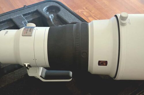 Sony 400mm f2.8 E-Mount für Wildlifefotografie