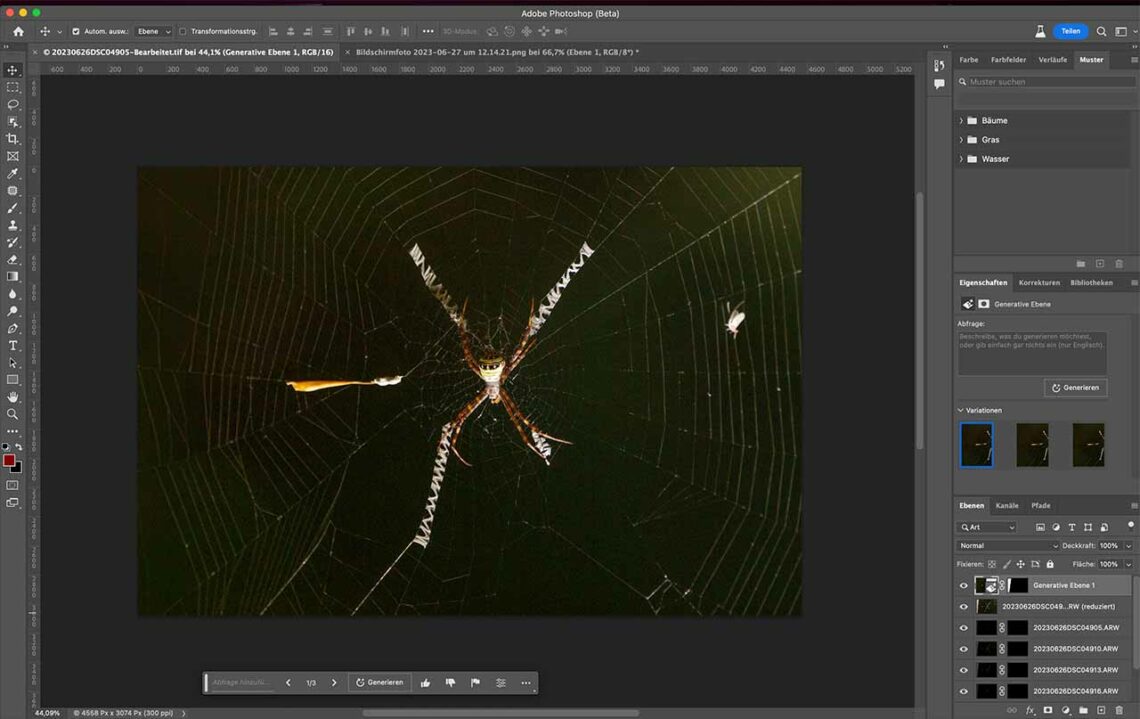 Bildbearbeitung und Nachbearbeitung deiner Naturfotos