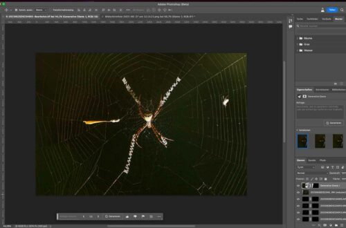 Bildbearbeitung und Nachbearbeitung deiner Naturfotos