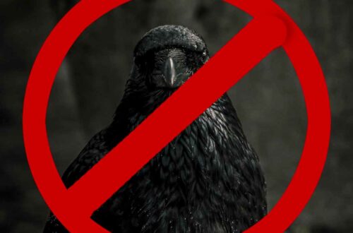 Fehler, die Du vermeiden solltest, bei der Fotografie