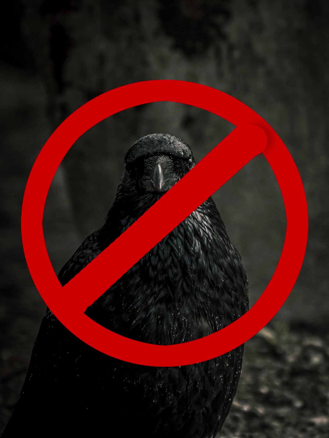 Fehler, die Du vermeiden solltest, bei der Fotografie