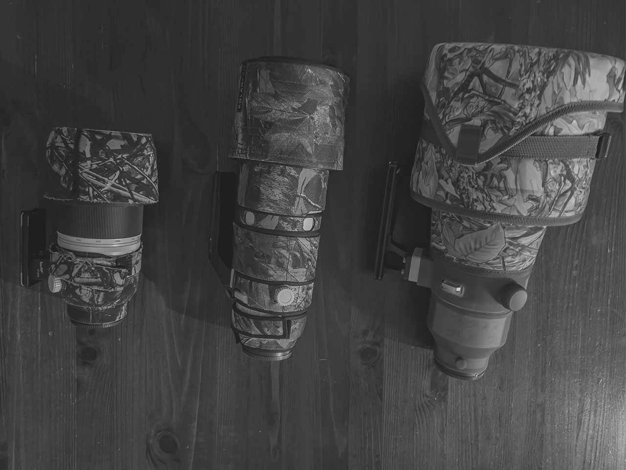 Objektive für Wlidlifefotografie