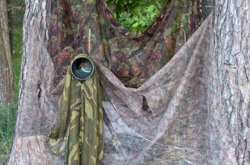 Tarnung in der Wlidlifefotografie