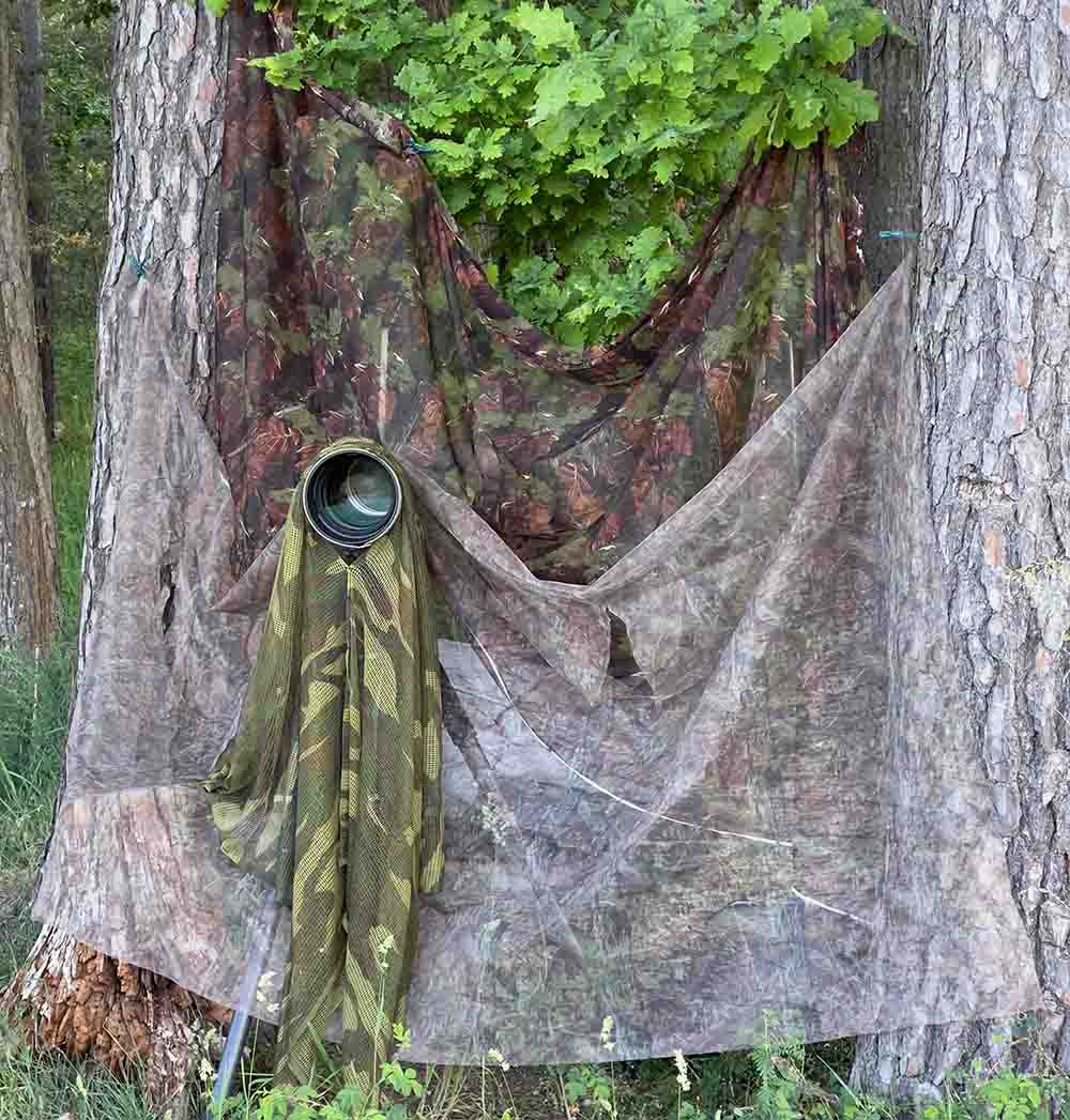 Tarnung in der Wlidlifefotografie