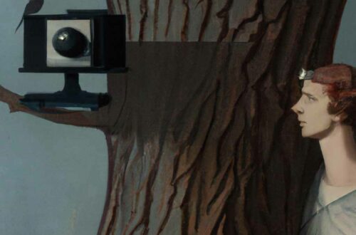 Tipps keine Fotos zum machen bei deiner Wildlifetour